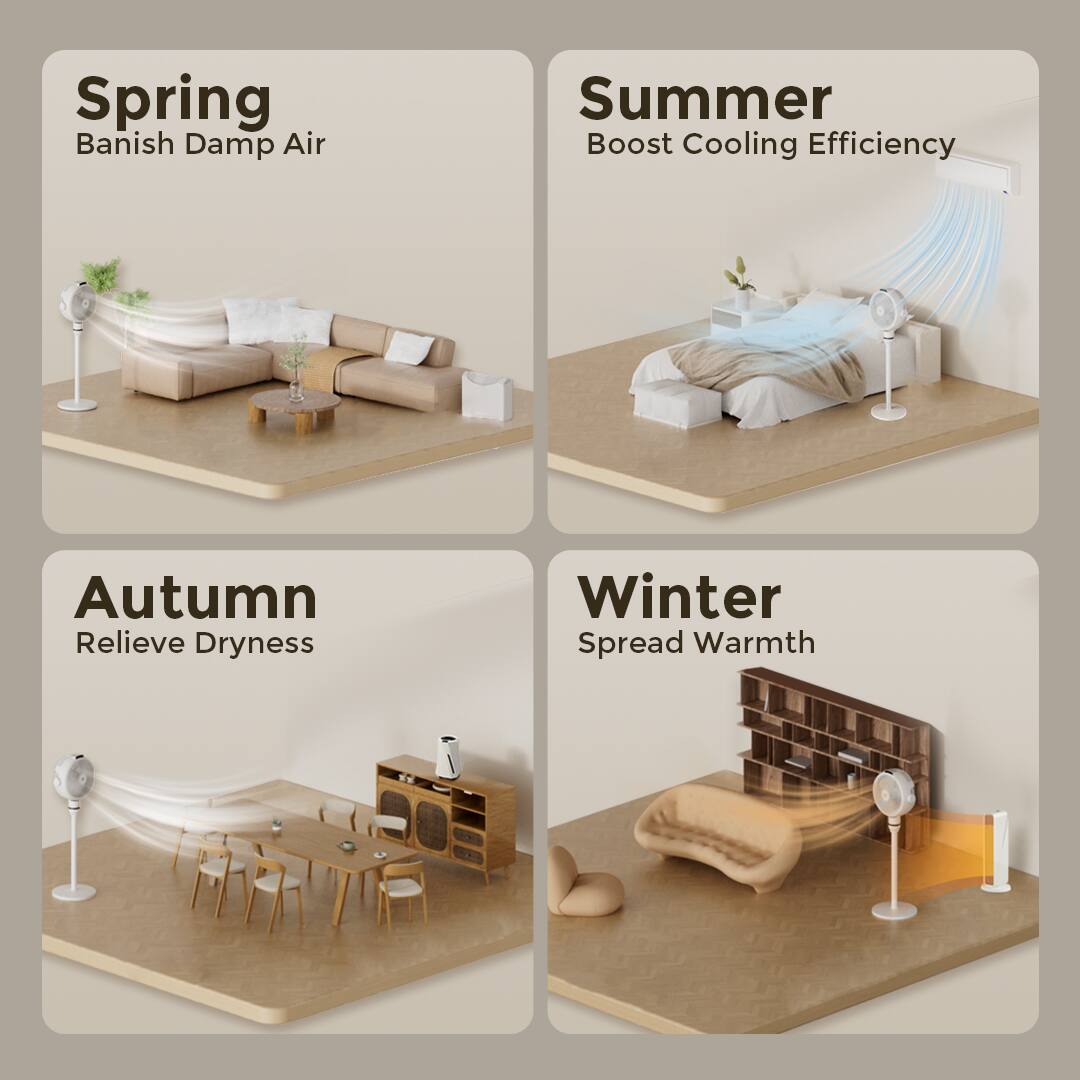 Spring  
Banish Damp Air  

Summer  
Boost Cooling Efficiency  

Autumn  
Relieve Dryness  

Winter  
Spread Warmth