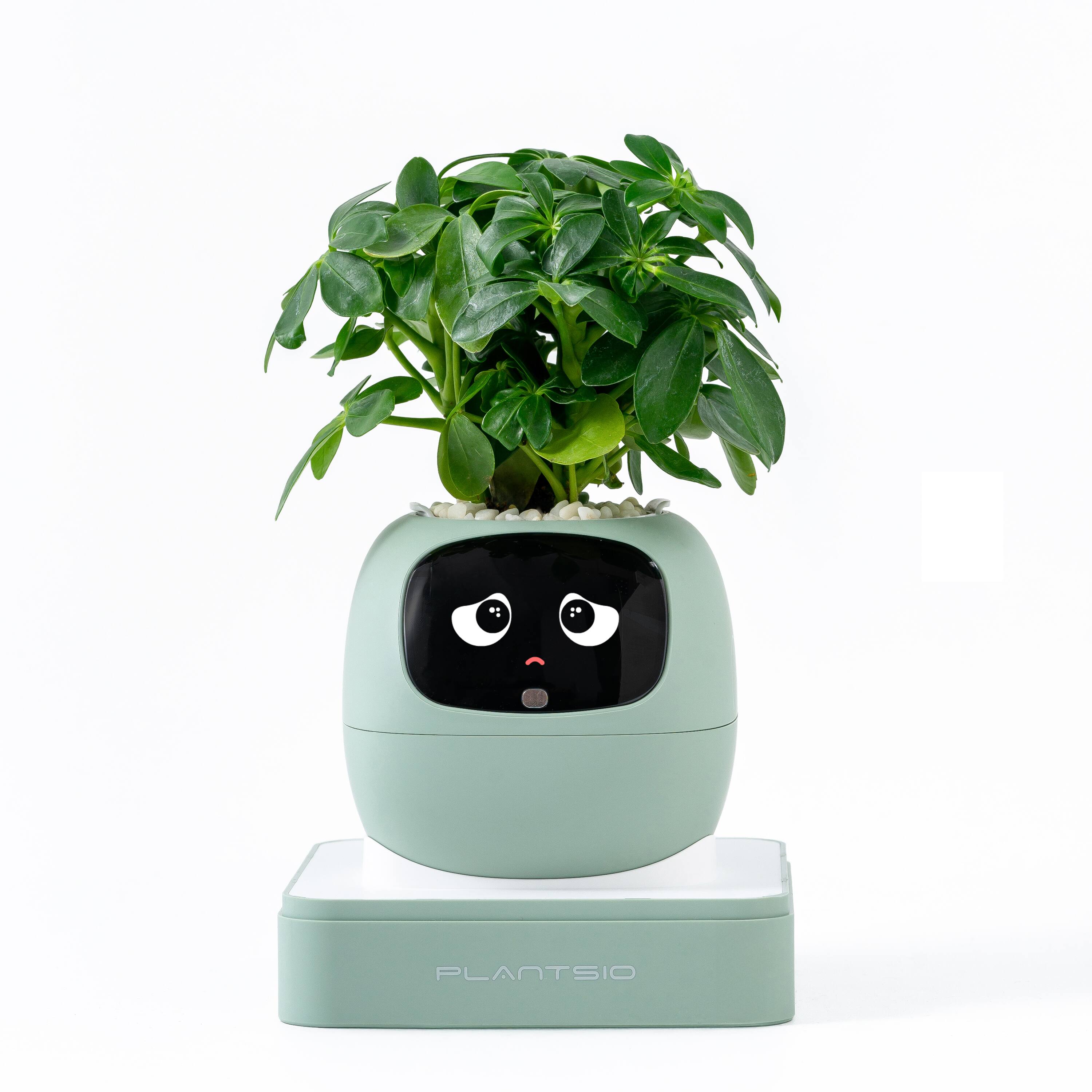 Front. PlantsIO - Ivy Gen 2 Smart Planter-GREEN.