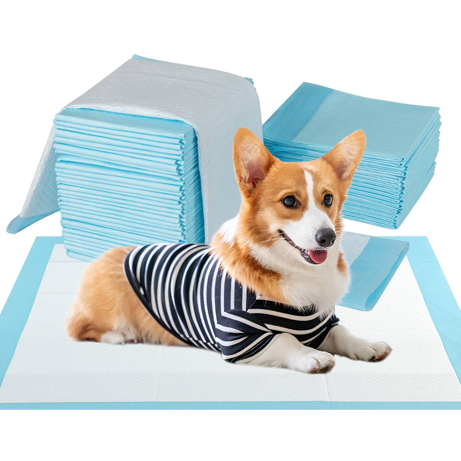 Front. Gymax - Gymax 36'' x 24'' (150 Counts) Dog Potty Training Pads Puppy Pee Pads w/6-layer Construction Quick-Drying - Blue.