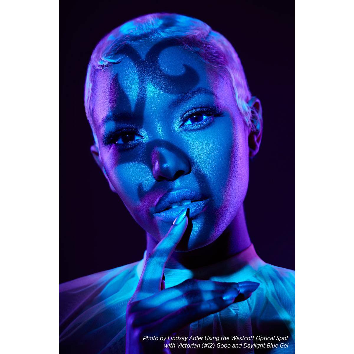 Photo by Lindsay Adler Using the Westcott Optical Spot with Victorian (#12) Gobo and Daylight Blue Gel
