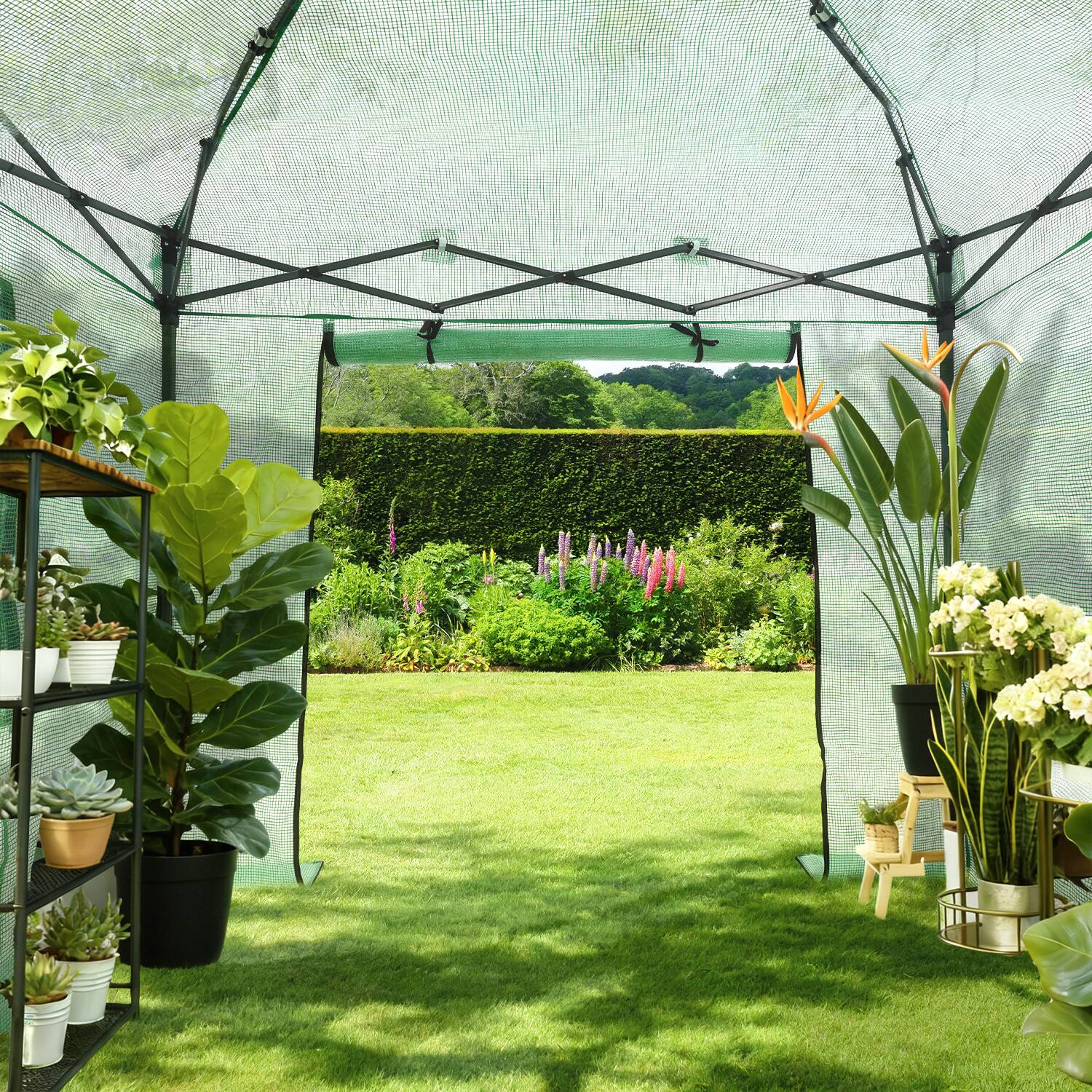 Alt View 1. Ainfox - Ainfox 10x10ft Instant Pop-up Greenhouse, Indoor Outdoor Plant Gardening Green House - green.