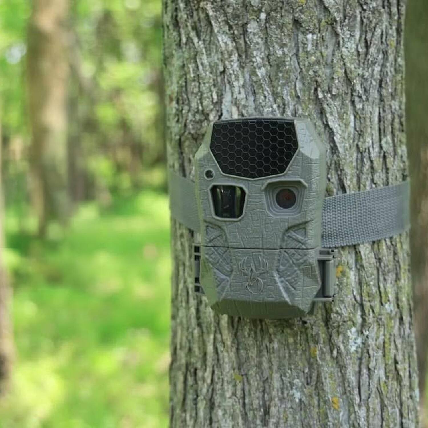 Angle. Wildgame Innovations - Wildgame Innovations Kicker 2.0 Lightsout Trail Camera 4 Pack Bundle.