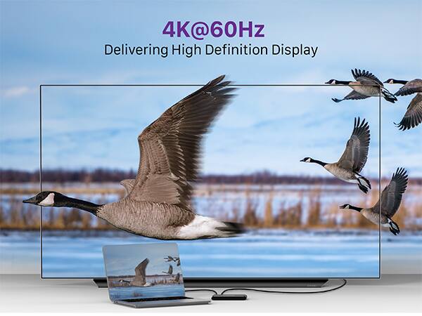 4K@60Hz
Delivering High Definition Display