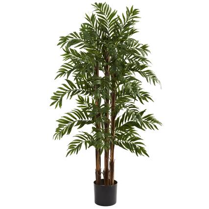 Front. BreeBe - 4' Parlour Palm Tree x 3 w/803 Lvs - Multicolor.