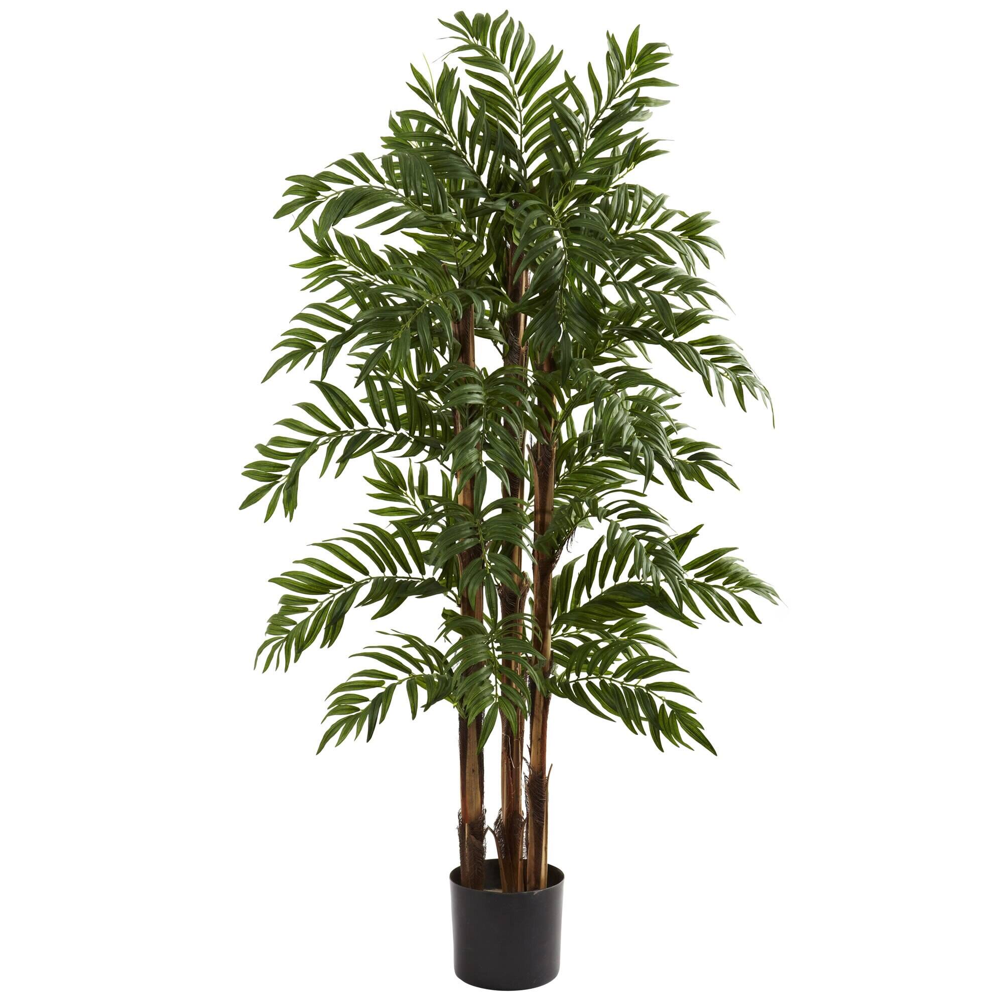 Front. BreeBe - 4' Parlour Palm Tree x 3 w/803 Lvs - Multicolor.