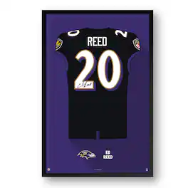 Sporticulture - Ed Reed Baltimore Ravens Framed 14" x 20" Retired Jersey Art Print - Multicolor