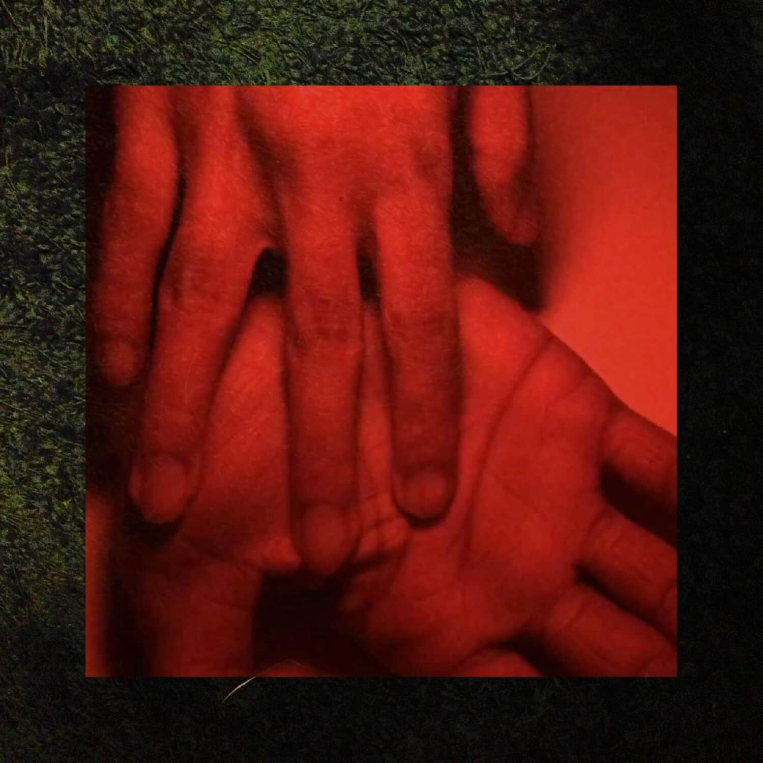 Rachika Nayar - Our Hands Against The Dusk   - VINYL LP price history on PriceWatchPro