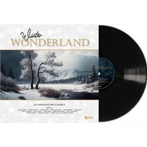 Front. Winter Wonderland [LP].