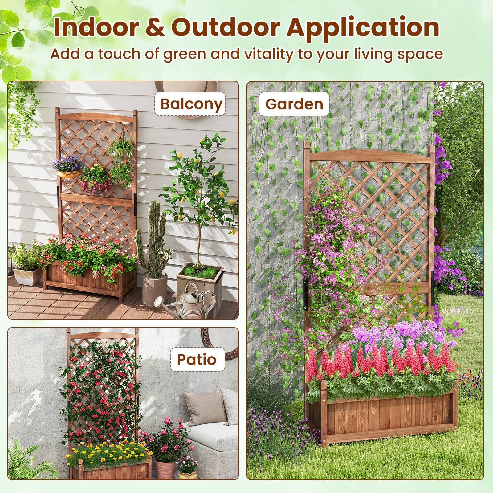 Indoor & Outdoor Application  
Add a touch of green and vitality to your living space  

Balcony  
Garden  
Patio