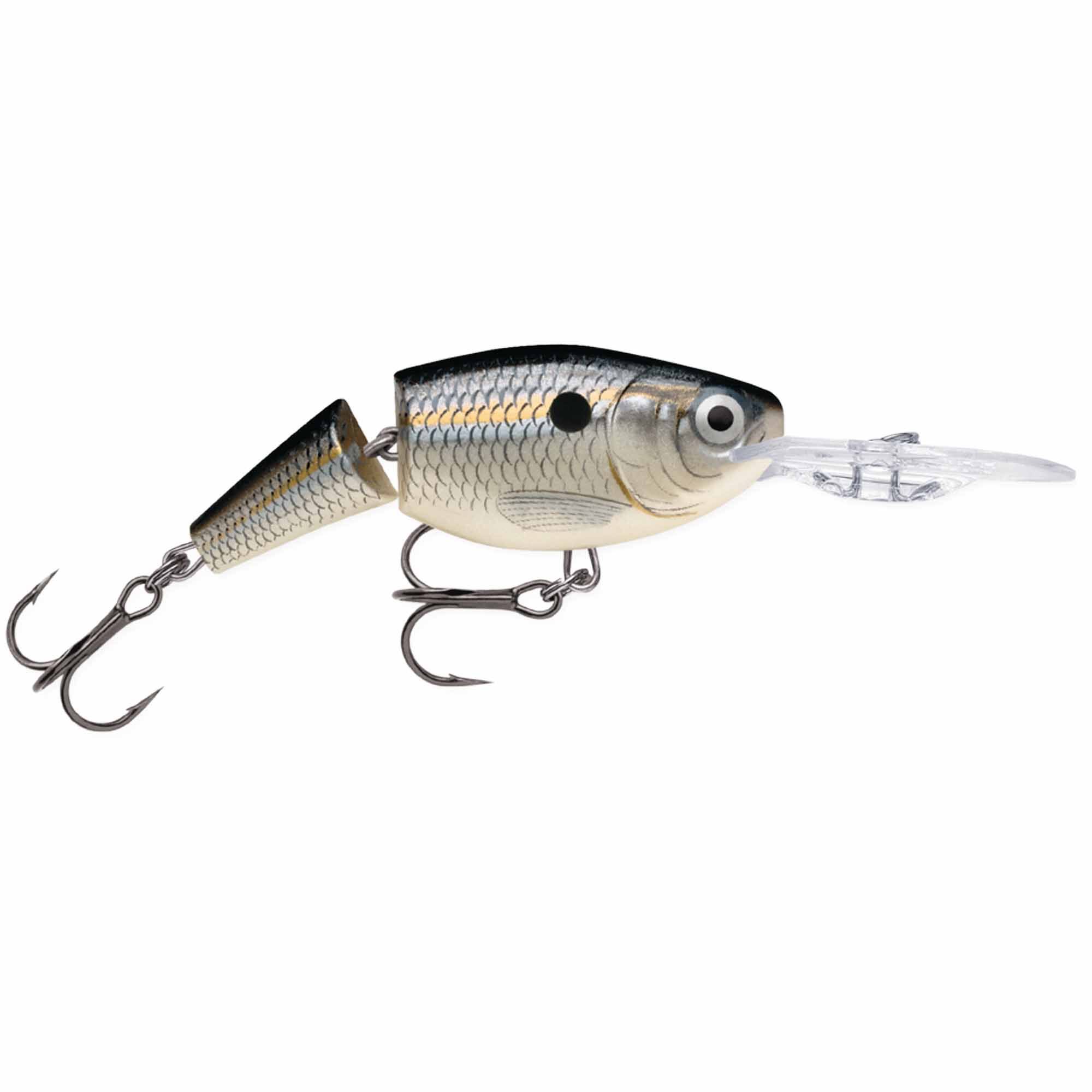 Silver Shad