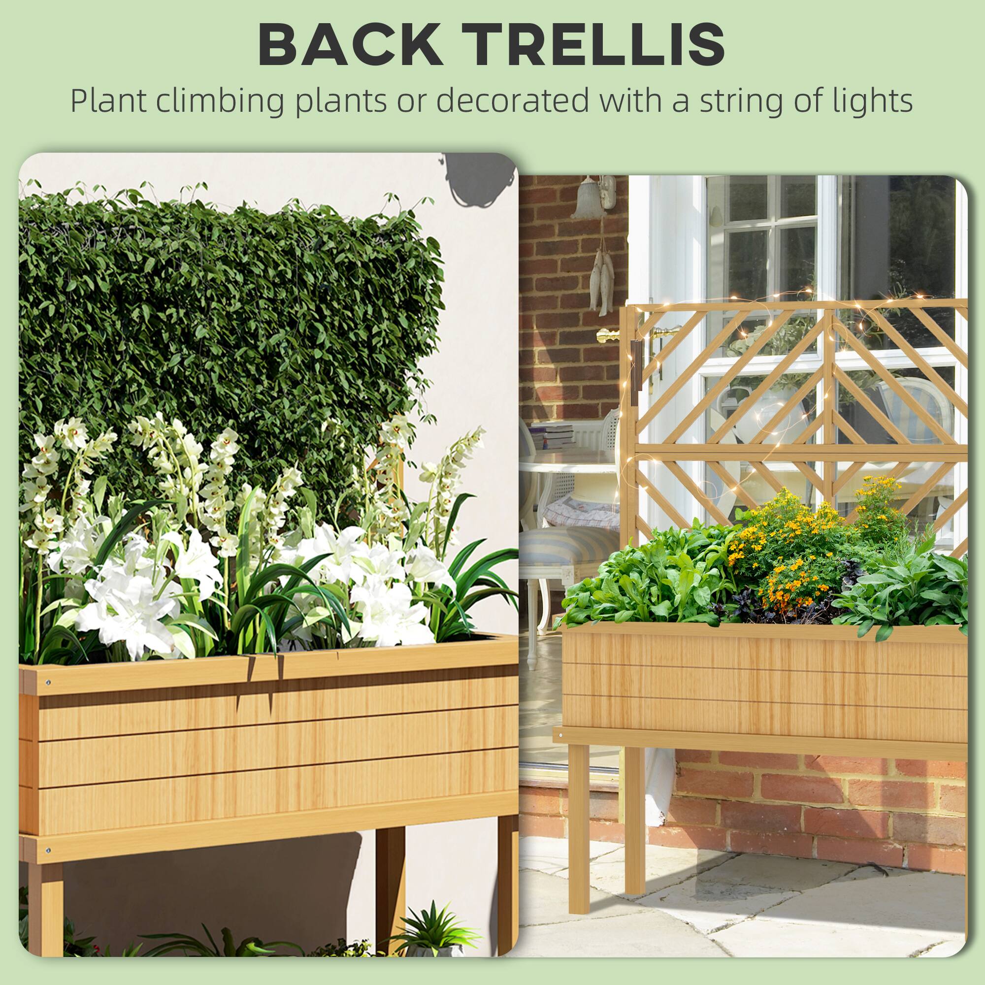 BACK TRELLIS  
Plant climbing plants or decorated with a string of lights