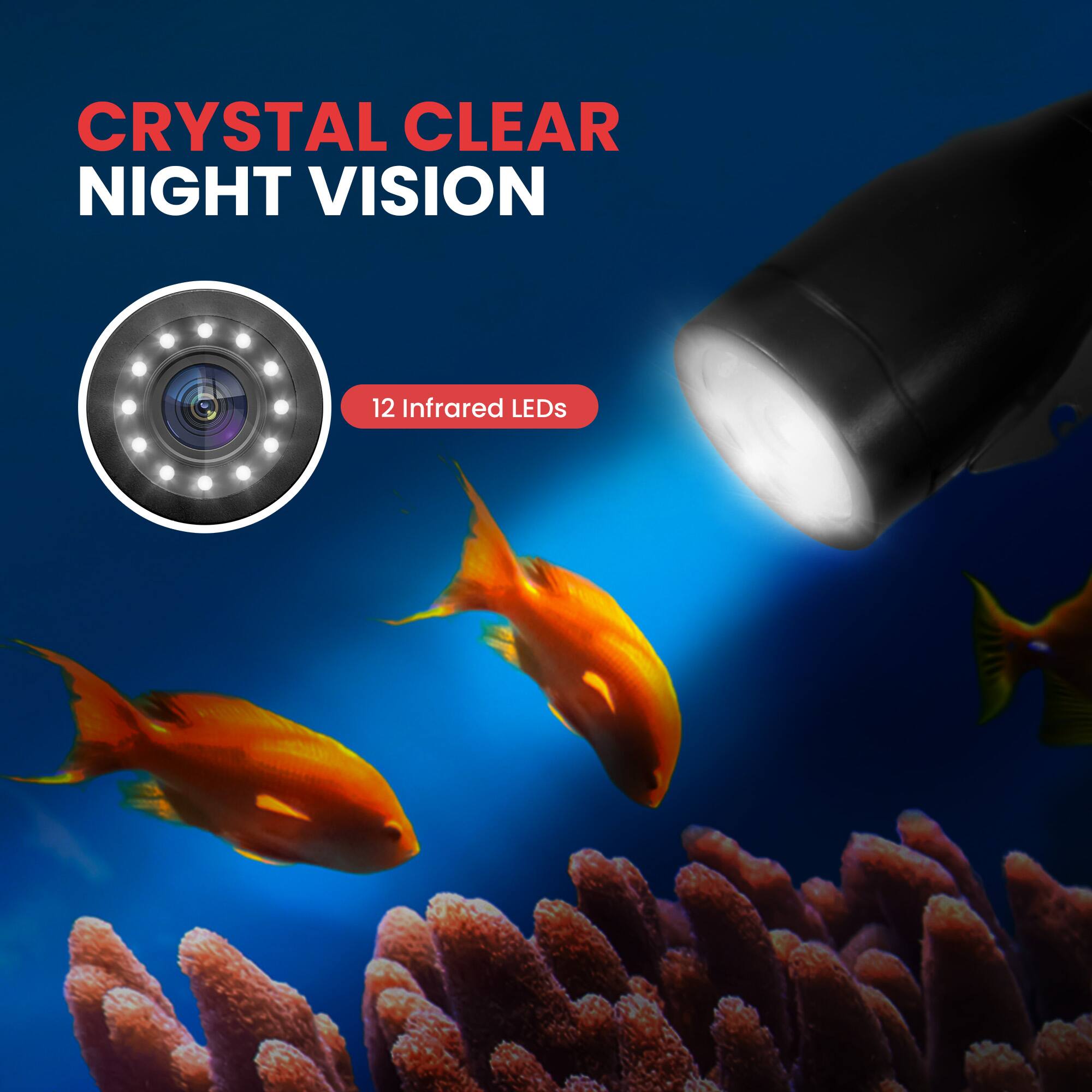 CRYSTAL CLEAR NIGHT VISION  
12 Infrared LEDs