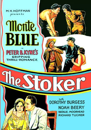 The Stoker  - DVD