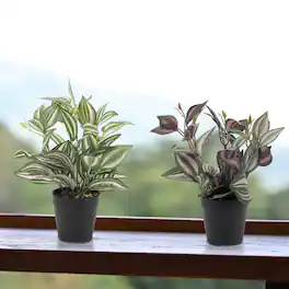 Oumilen - 2 Pack Fake Plants Artificial Greenery Potted Faux Lifelike Plant for Farmhouse Home Garden Party Decoration