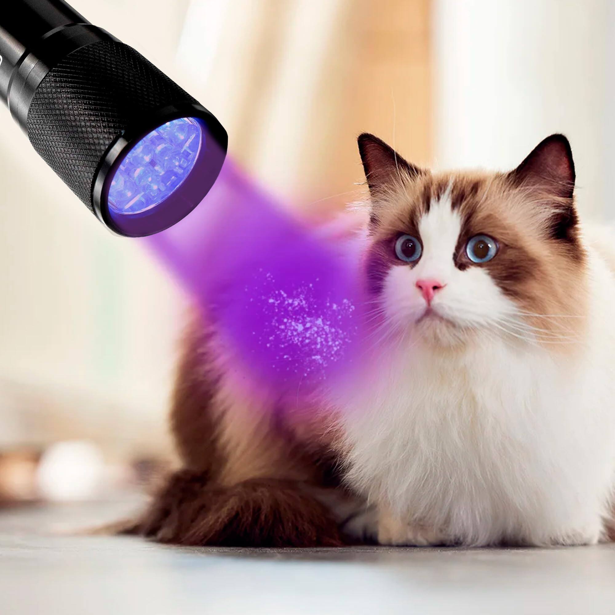 Alt View 2. HQRP - 365 nm UV Blacklight Flashlight - 9 LED Mineral Gem Fluorescence.