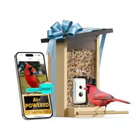 BIRDFY - Smart Bird Feeder with Camera and Solar Panel, AI Bird ID(7-Day Free Trial), 1080P HD Live View, Gift for Bird Lovers - Natural Wood Finish & Black