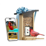 BIRDFY - Smart Bird Feeder with Camera and Solar Panel, AI Bird ID(7-Day Free Trial), 1080P HD Live View, Gift for Bird Lovers - Natural Wood Finish & Black