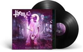 Them - Psychedelic Enigma - VINYL LP