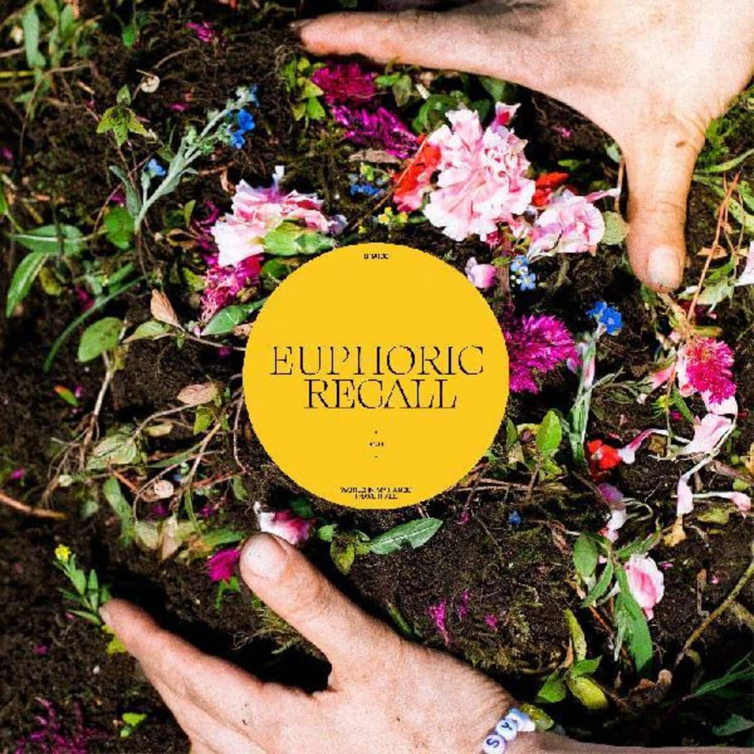 Braids - Euphoric Recall   - COMPACT DISCS [CD] price history on PriceWatchPro