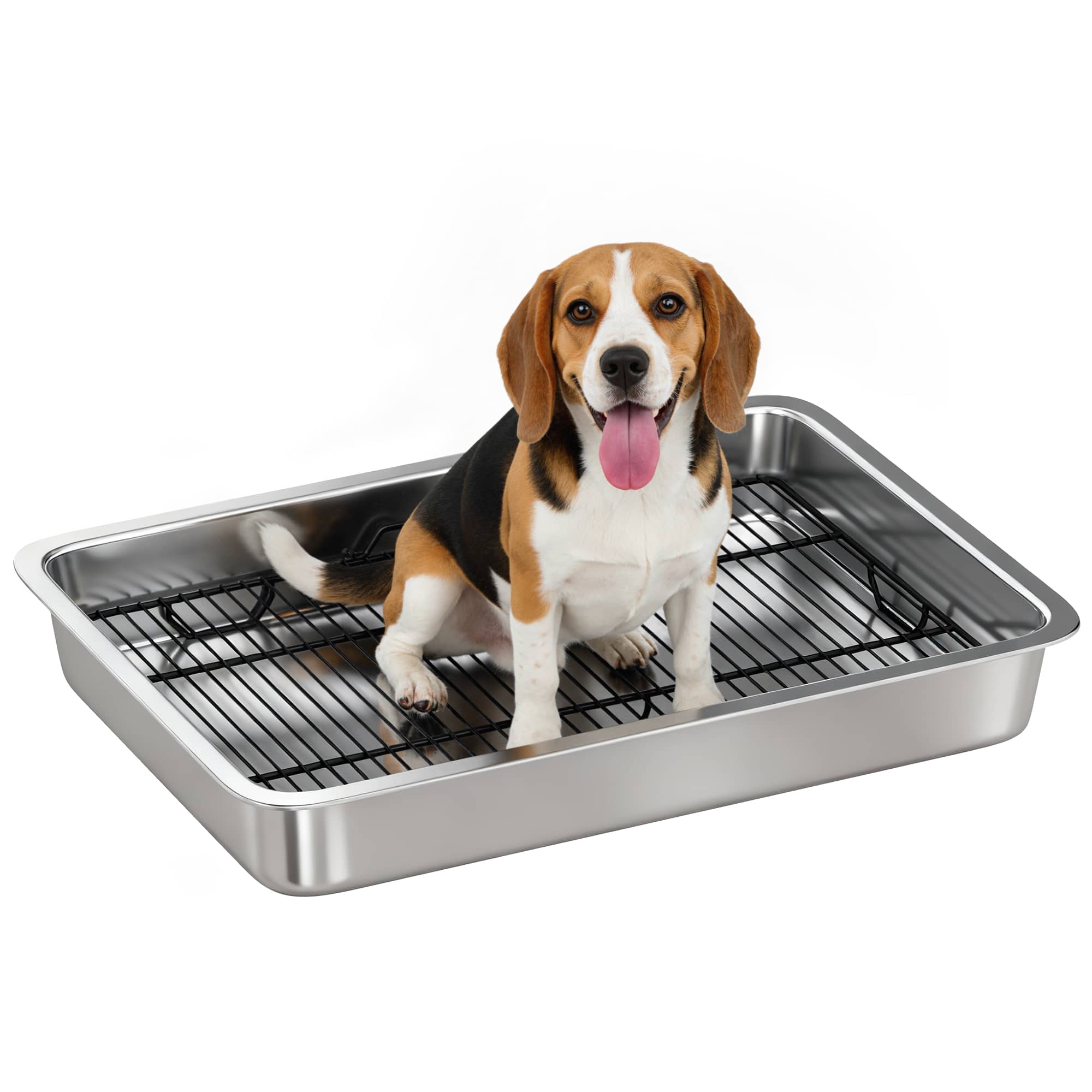 Pawhut - Potty Tray Stainless Steel for Small and Medium Dogs, Dog Training Tray for Porch, Bathroom, Balcony - Silver price history on PriceWatchPro