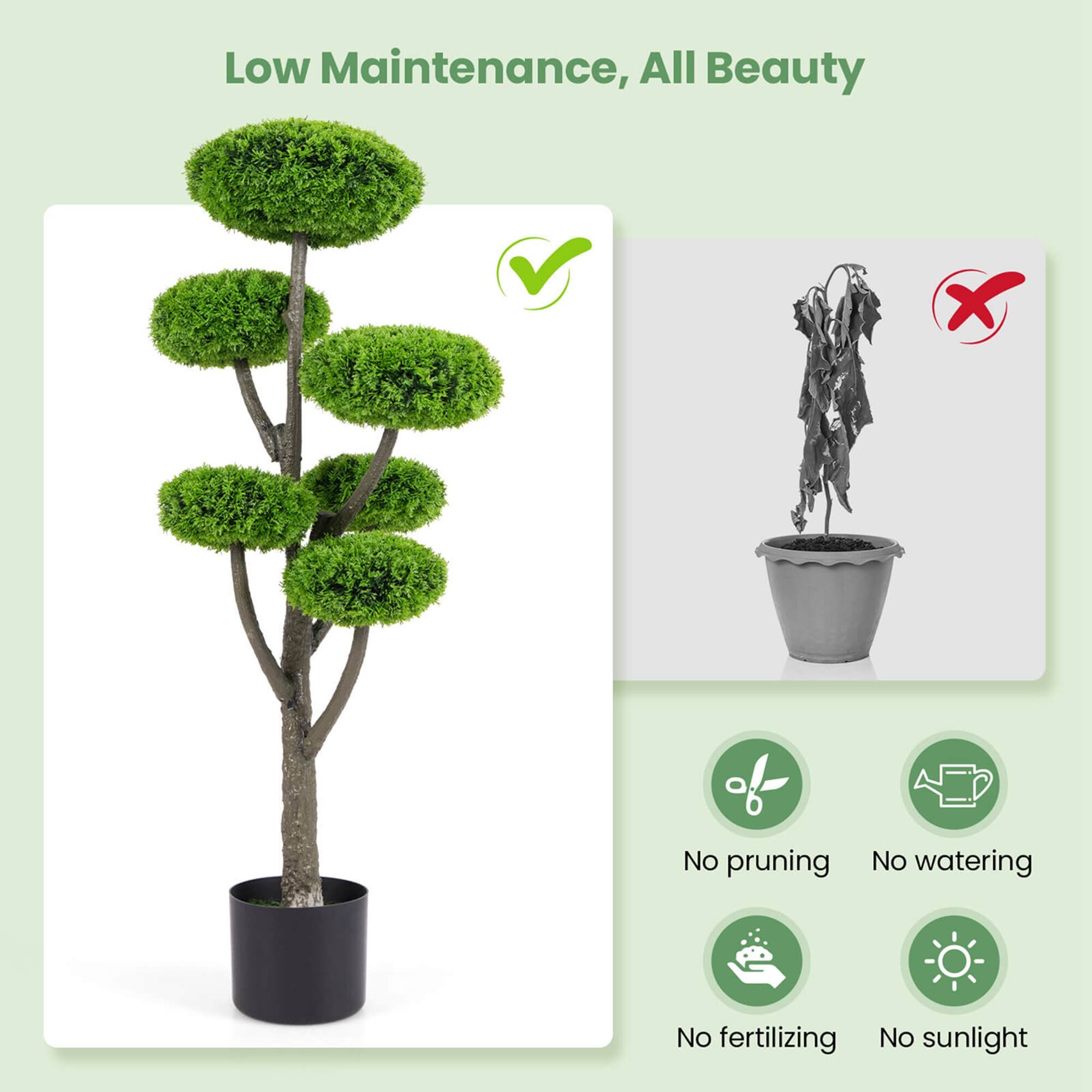 Low Maintenance, All Beauty

- No pruning
- No watering
- No fertilizing
- No sunlight