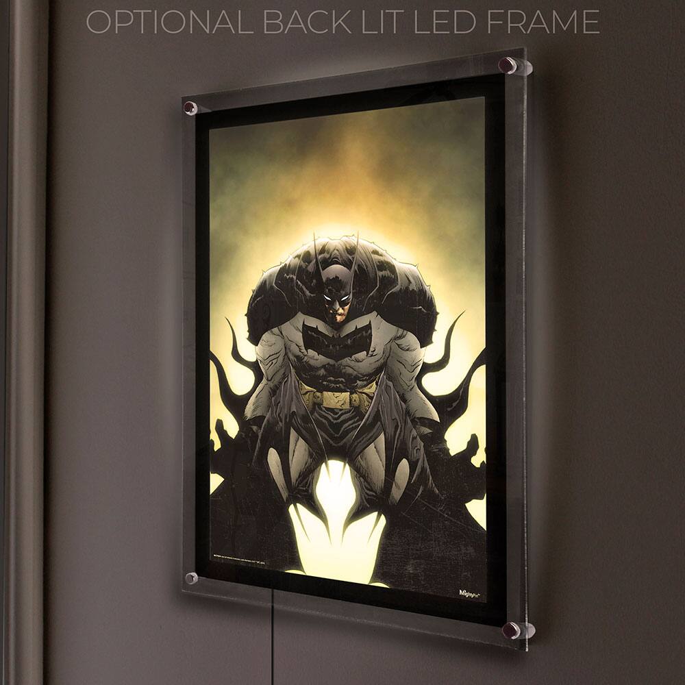 OPTIONAL BACK LIT LED FRAME