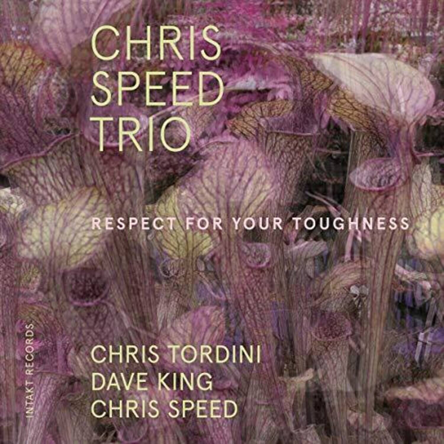 CHRIS SPEED TRIO  
RESPECT FOR YOUR TOUGHNESS  

CHRIS TORDINI  
DAVE KING  
CHRIS SPEED  

INTAKT RECORDS