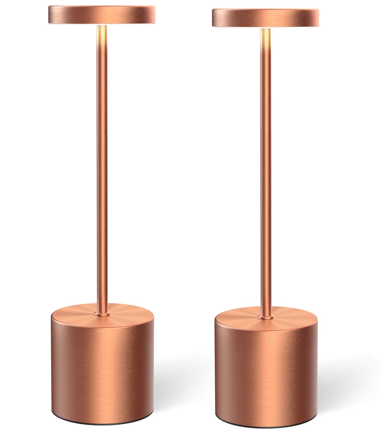 Rose Gold (Set of 2)