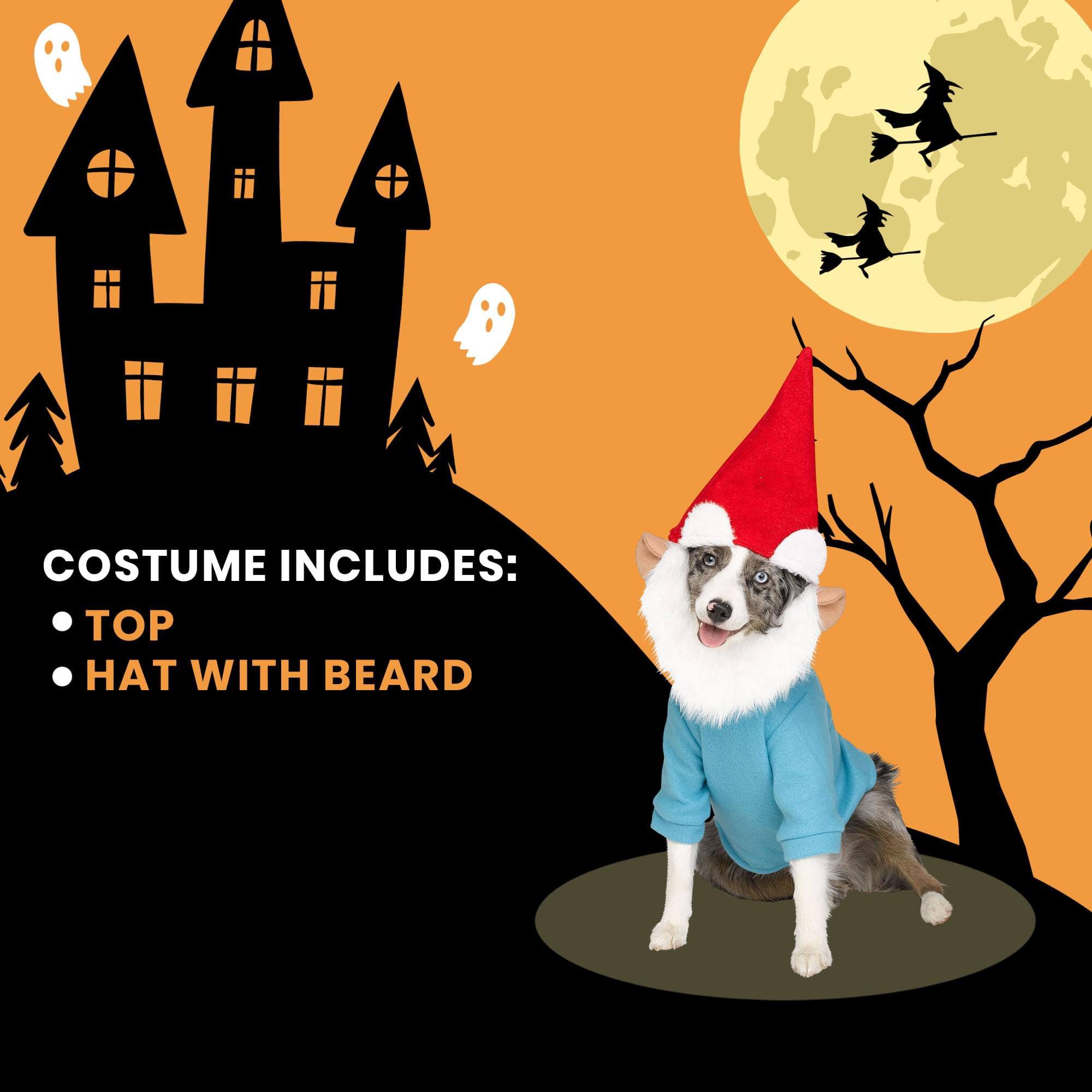 COSTUME INCLUDES:  
- TOP HAT WITH BEARD