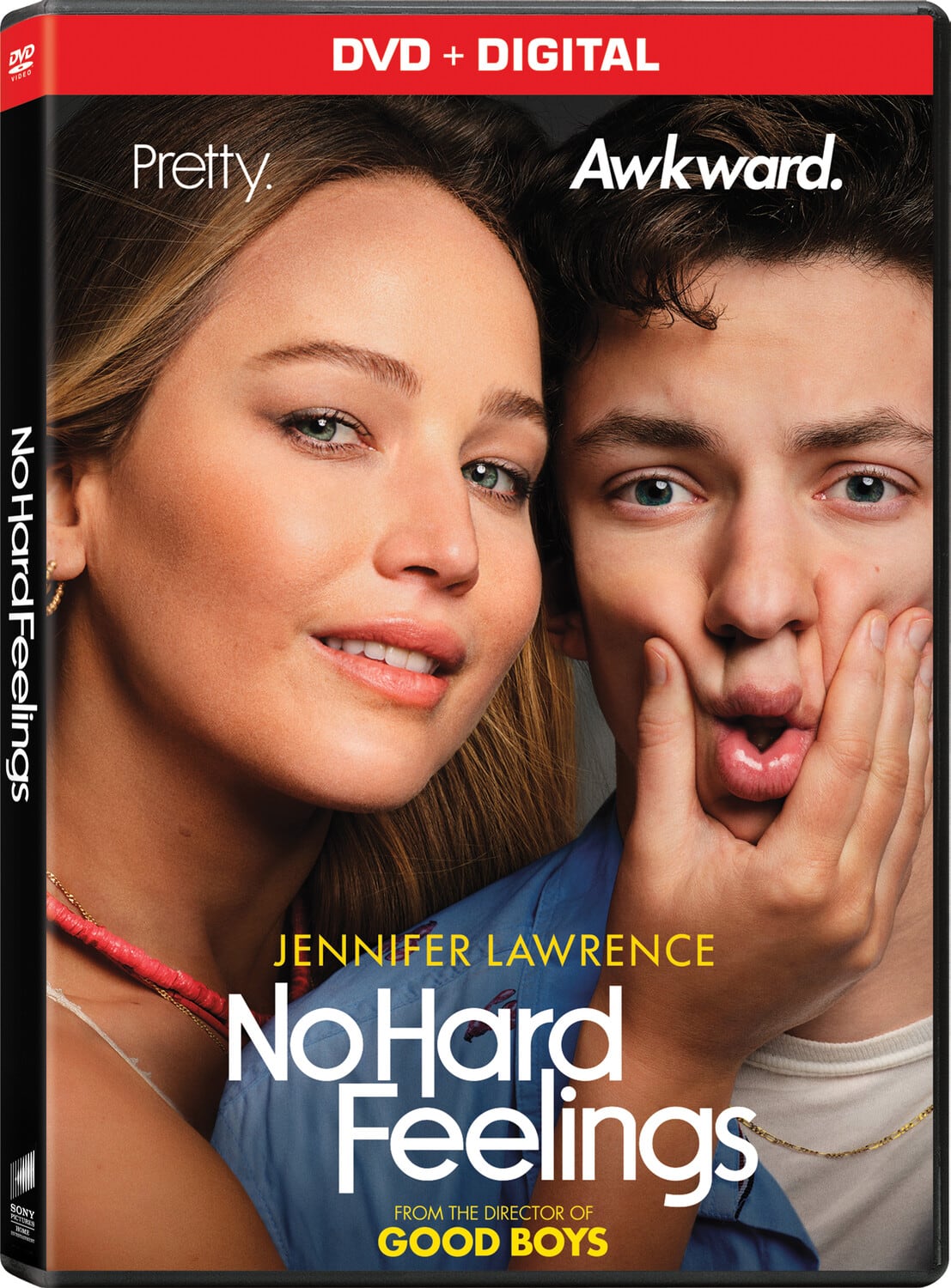 No Hard Feelings  - DVD
