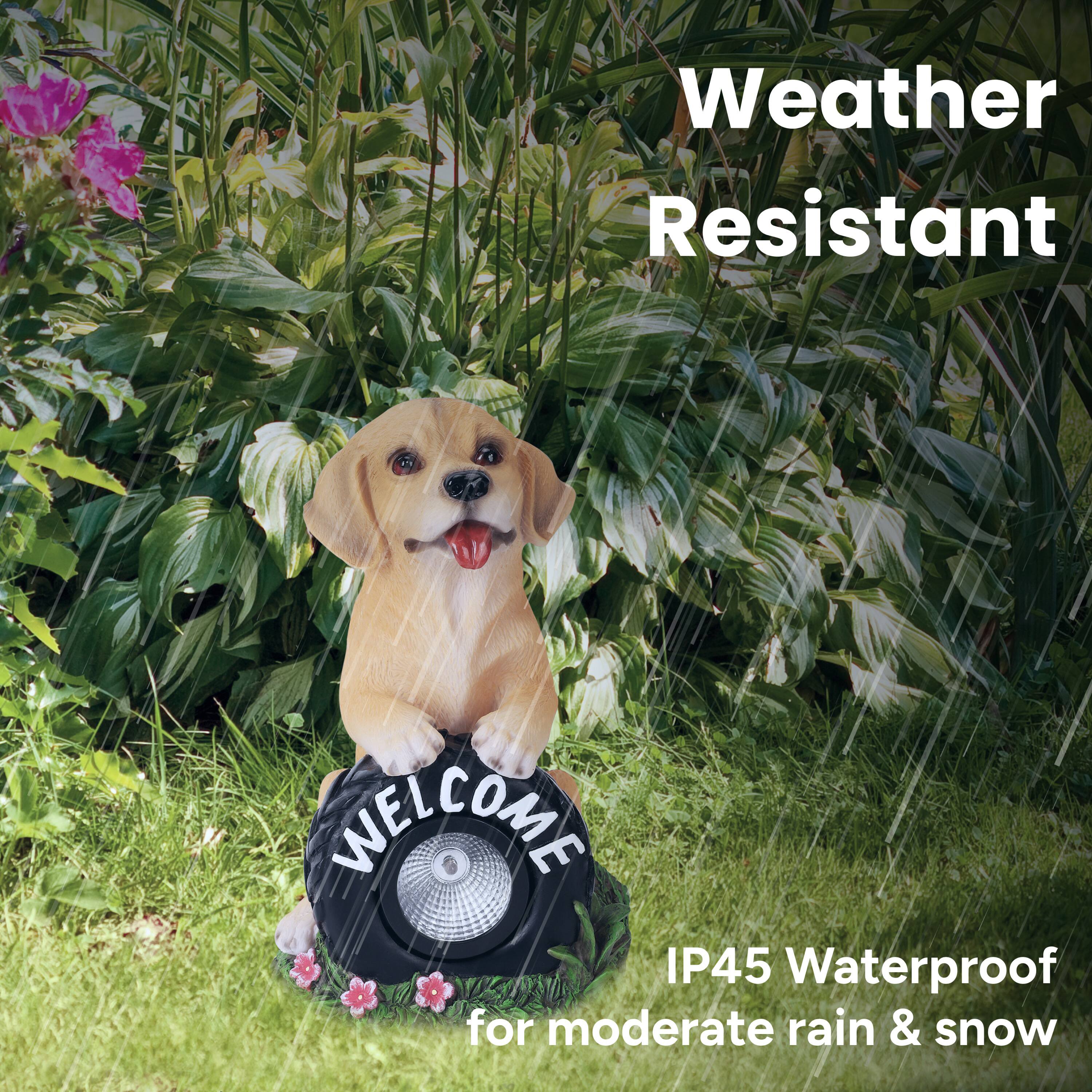Weather Resistant  
IP45 Waterproof for moderate rain & snow