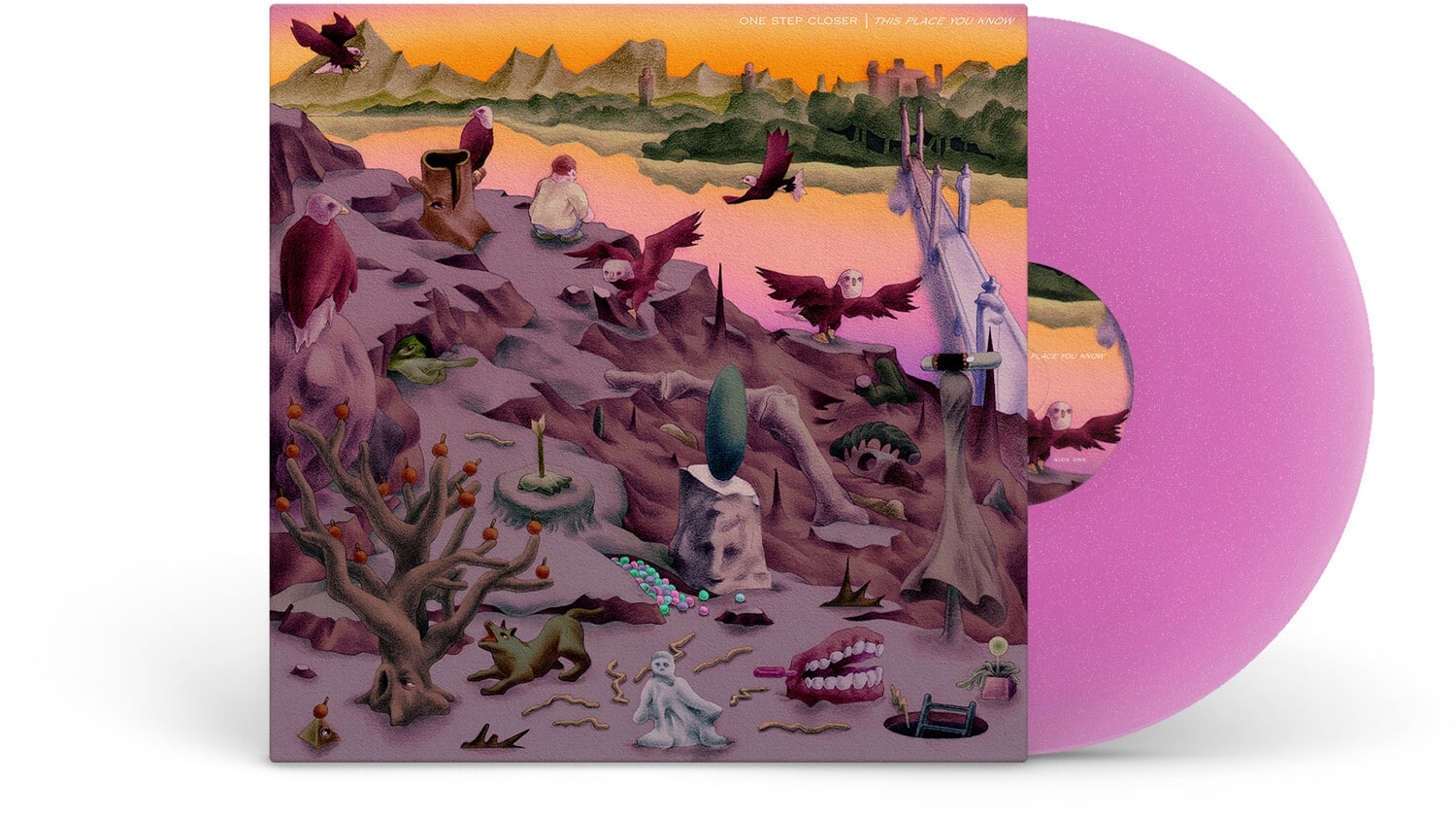One Step Closer - This Place You Know - Purple   - VINYL LP price history on PriceWatchPro