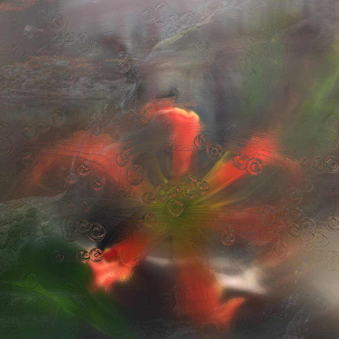 Front. Germ in a Population of Buildings [LP].