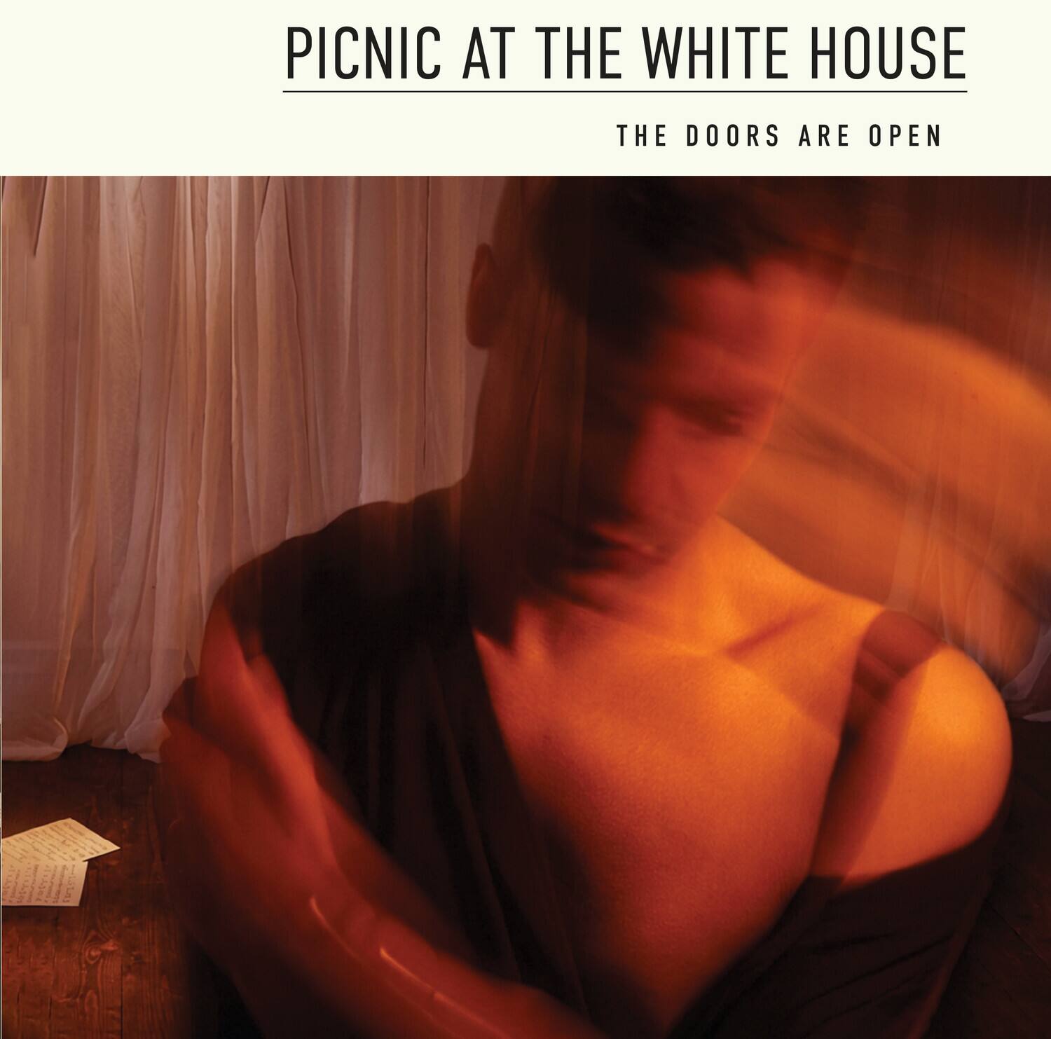 Picnic at the Whitehouse - The Doors Are Open   - COMPACT DISCS [CD] price history on PriceWatchPro