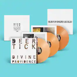 Deer Tick - Divine Providence - VINYL LP