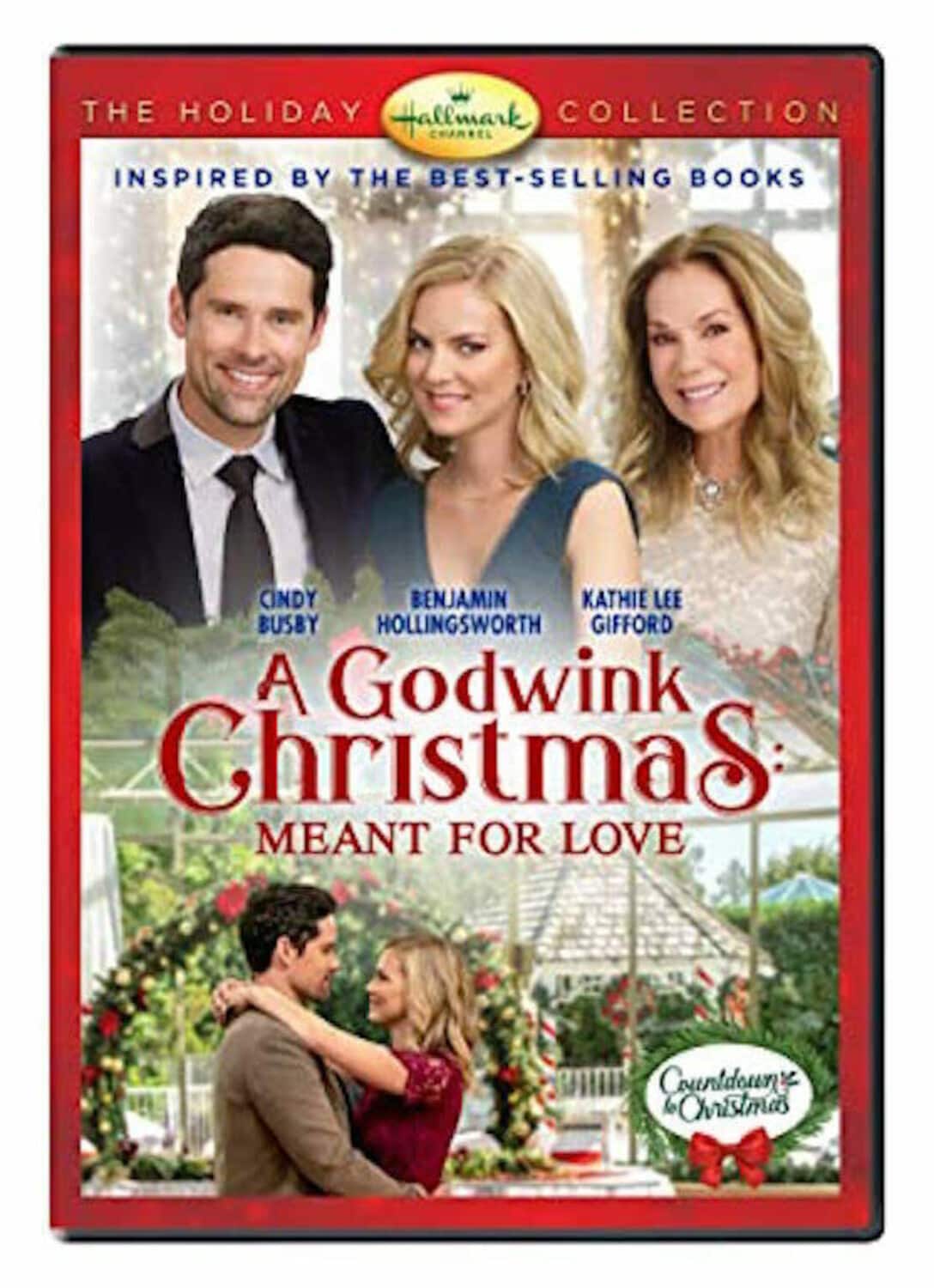 A Godwink Christmas: Meant for Love  - DVD