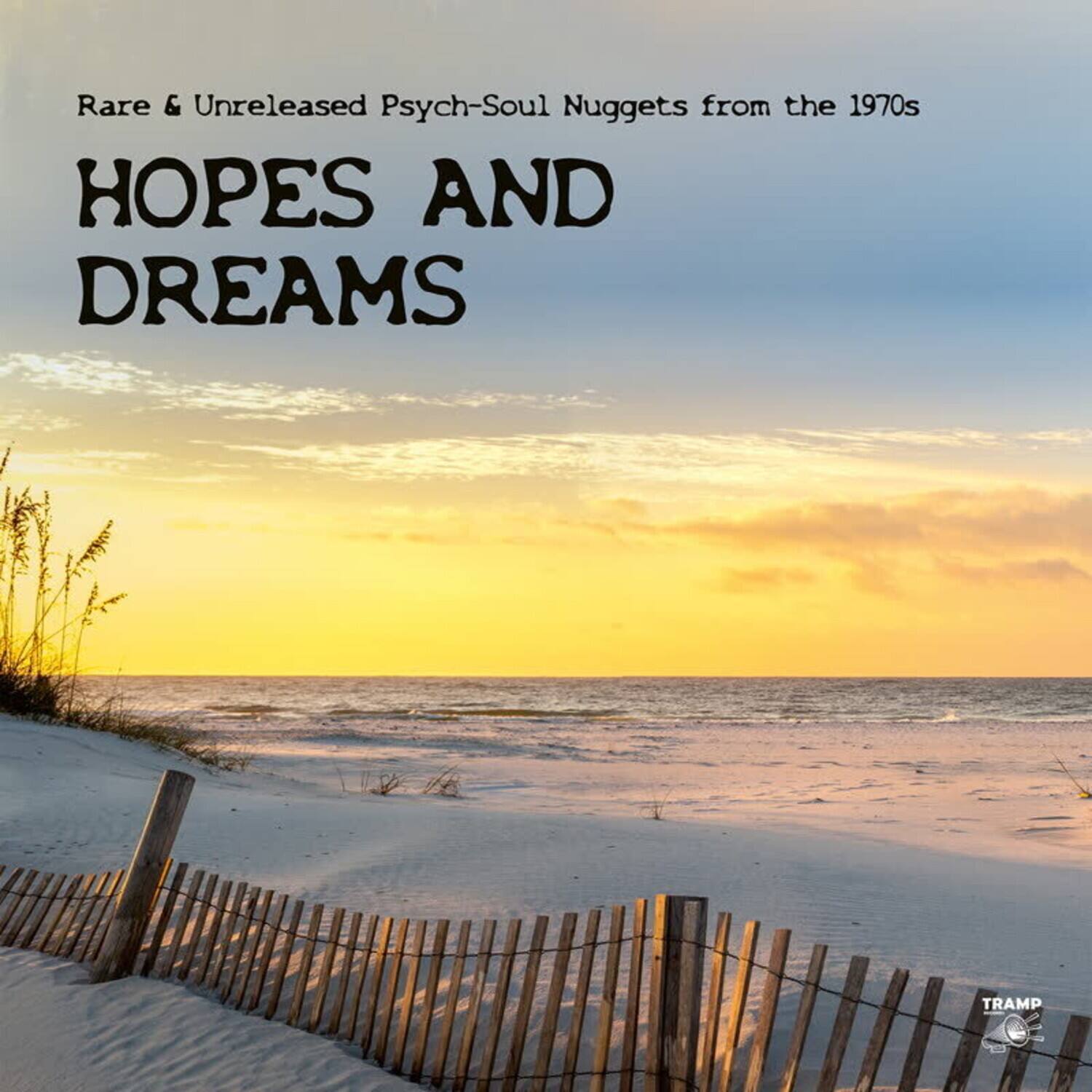 Various Artists - Hopes And Dreams: Rare & Unreleased Psych-Soul Nuggets from the 1970s   - VINYL LP price history on PriceWatchPro