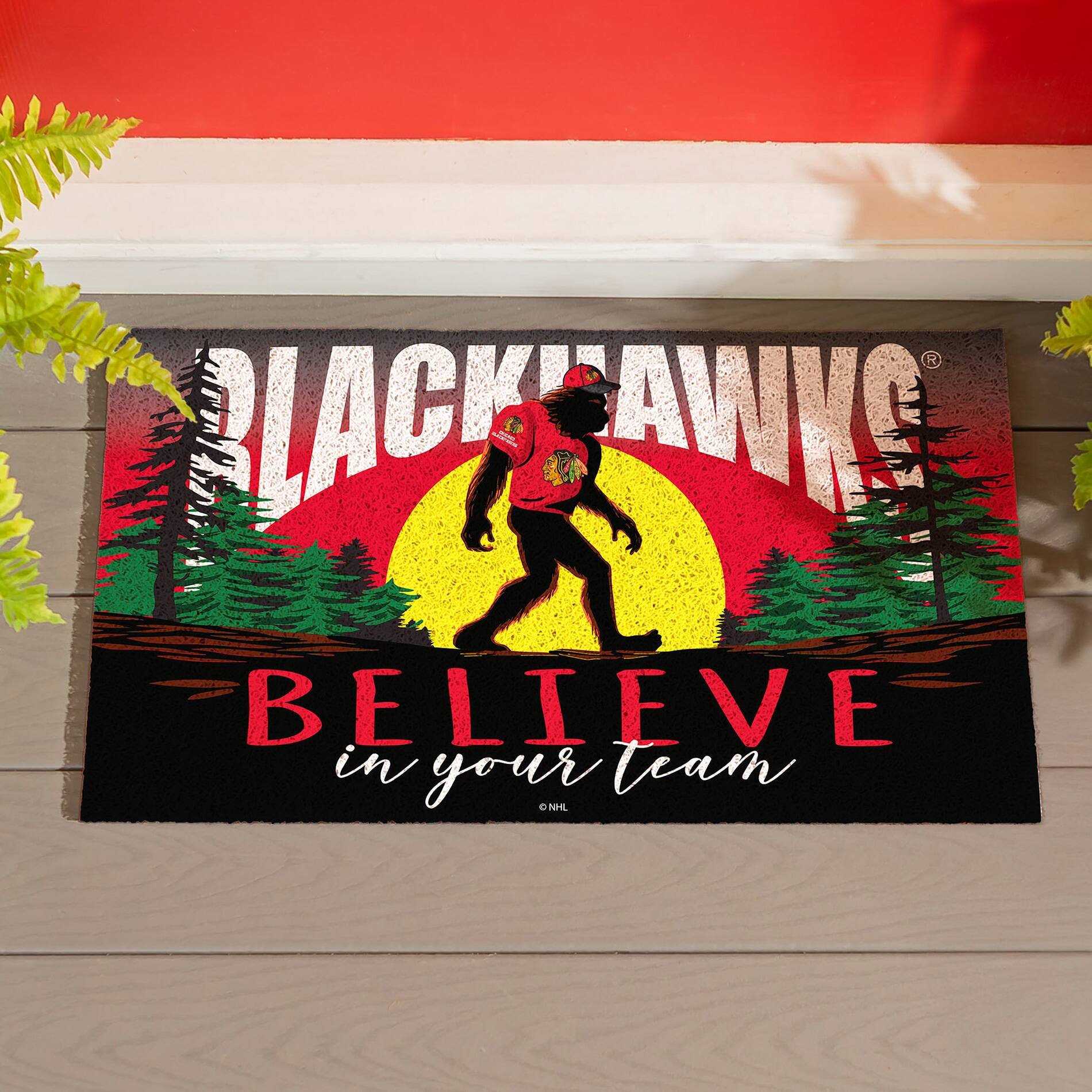 BLACKHAWKS®  
BELIEVE in your team  
NHL