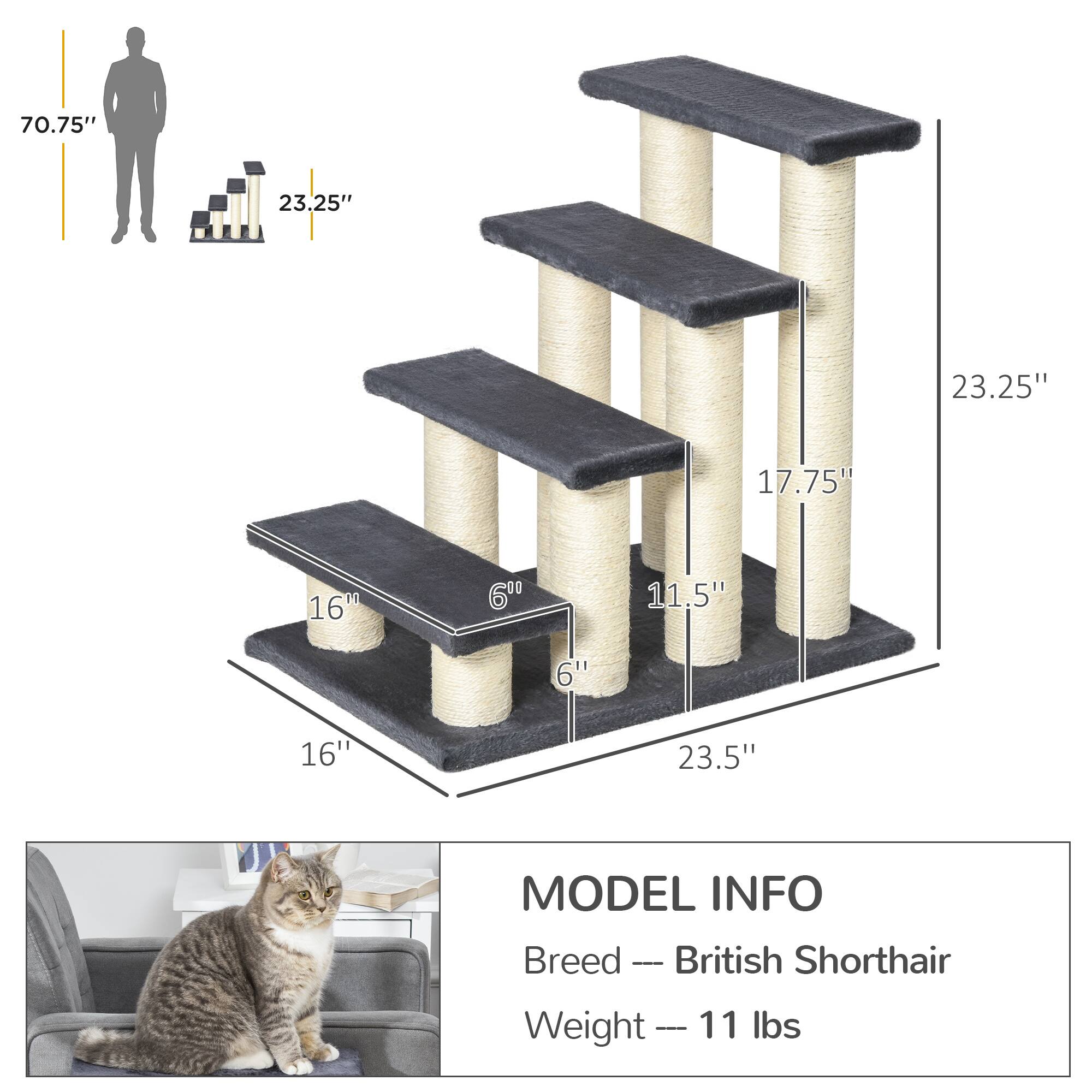 70.75"  
23.25"  
23.25"  
17.75"  
16"  
6"  
11.5"  
6"  
23.5"  

MODEL INFO  
Breed — British Shorthair  
Weight — 11 lbs