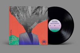 Everything Everything - Mountainhead - VINYL LP