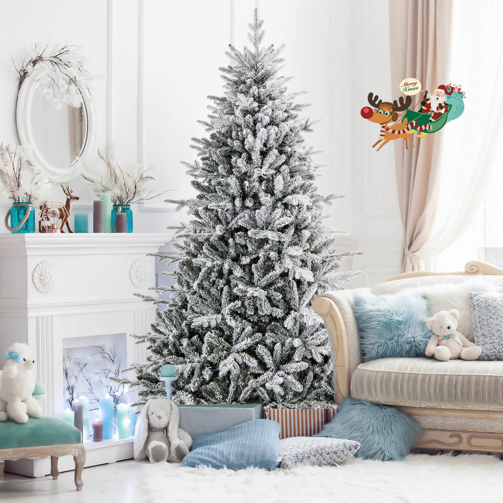 The text on the image is "Santa Claus."