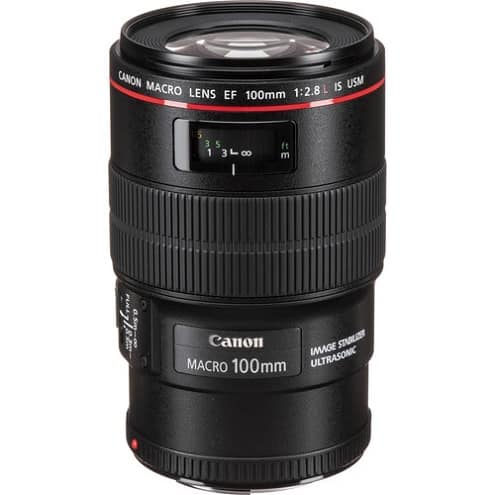 EF 100mm f/2.8L IS USM Macro Lens for Canon Digital SLR Cameras (International Model) - Black