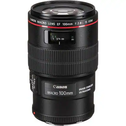 CANON MACRO IS USM LENS EF 100mm 1:2.8 L
Canon IMAGE STABILIZER MACRO 100mm ULTRASONIC
