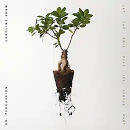Shaw,Caroline & So Percussion - Let The Soil Play Its Simple Part - VINYL LP