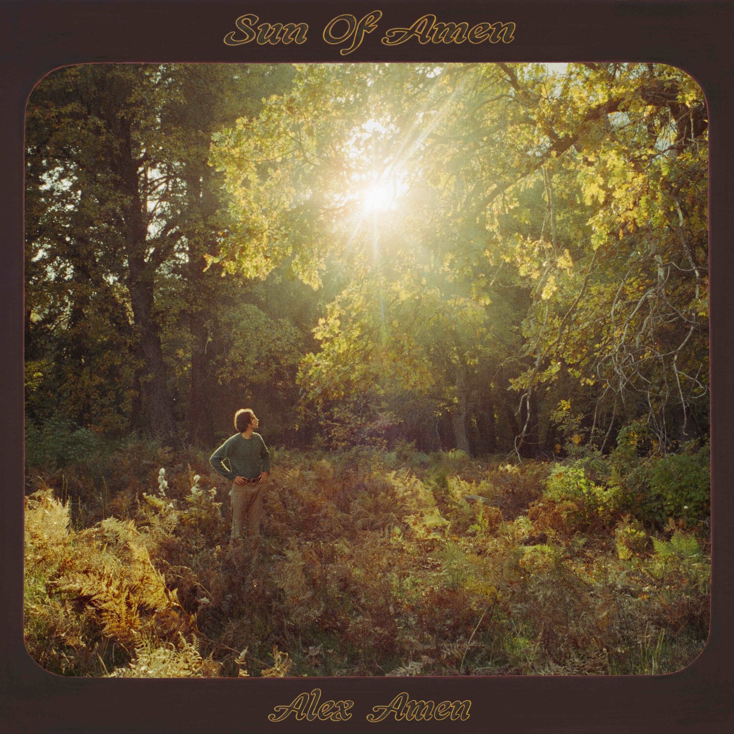 Alex Amen - Sun of Amen   - COMPACT DISCS [CD] price history on PriceWatchPro
