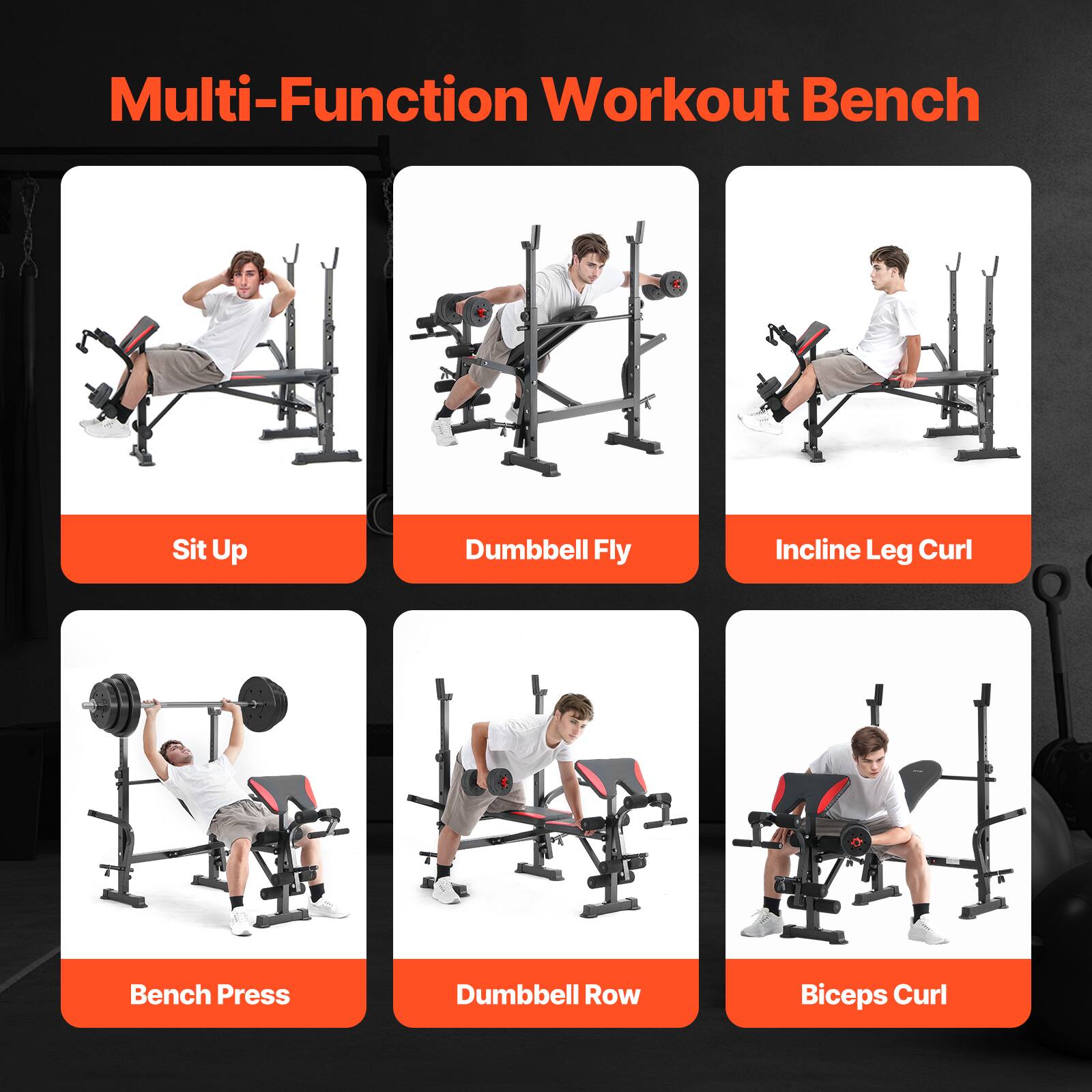 Multi-Function Workout Bench

- Sit Up
- Dumbbell Fly
- Incline Leg Curl
- Bench Press
- Dumbbell Row
- Biceps Curl