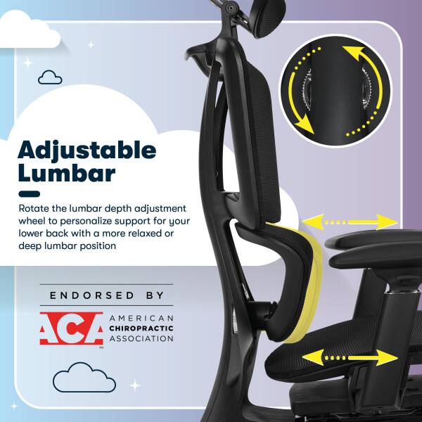 Adjustable Lumbar  
Rotate the lumbar depth adjustment wheel to personalize support for your lower back with a more relaxed or deep lumbar position.  

ENDORSED BY  
AMERICAN CHIROPRACTIC ASSOCIATION