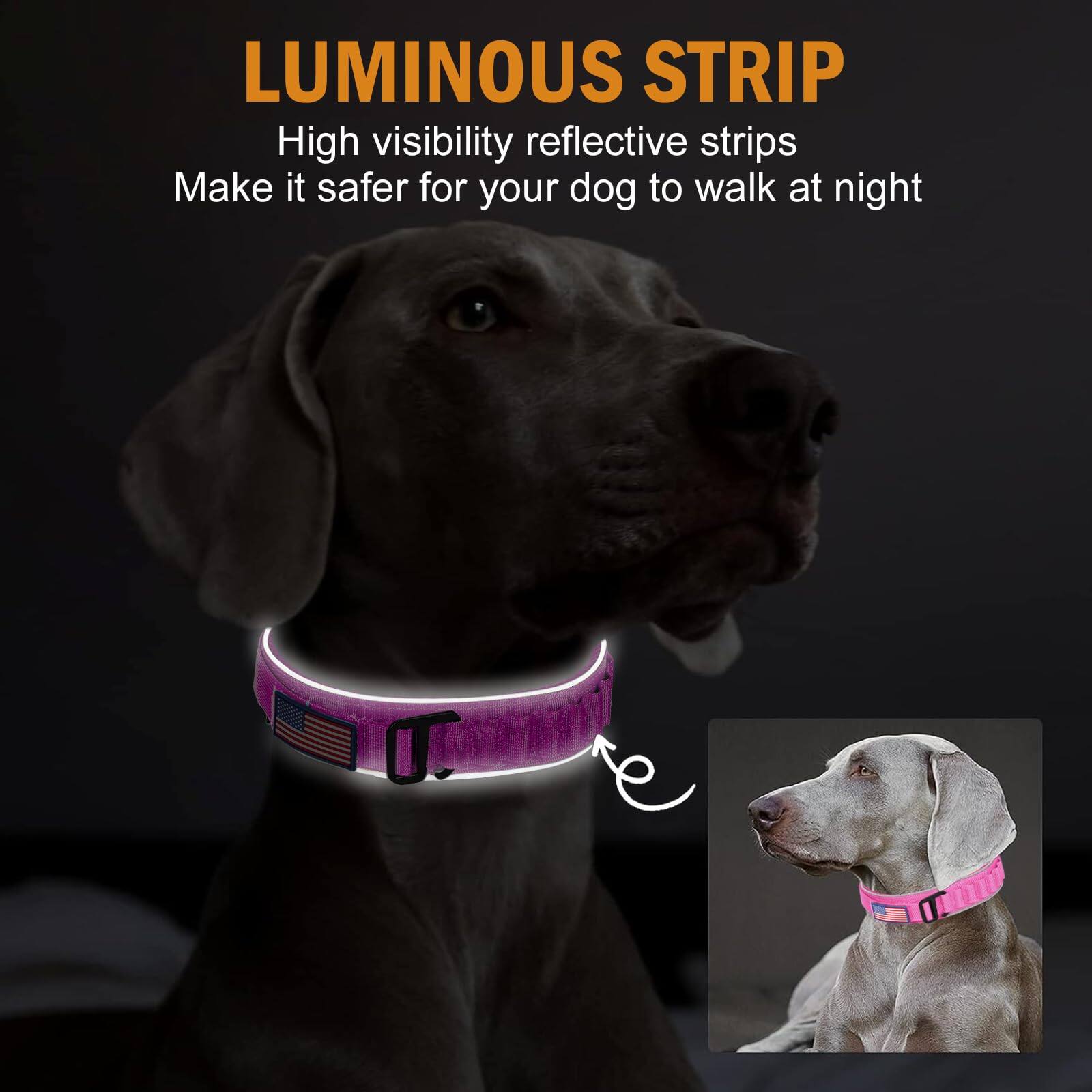 LUMINOUS STRIP

High visibility reflective strips  
Make it safer for your dog to walk at night