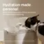 Hydration Made Personal: Splash shield ensures pets drink one at a time for accurate hydration monitoring. Note: For accurate hydration tracking, please do not remove the shield.