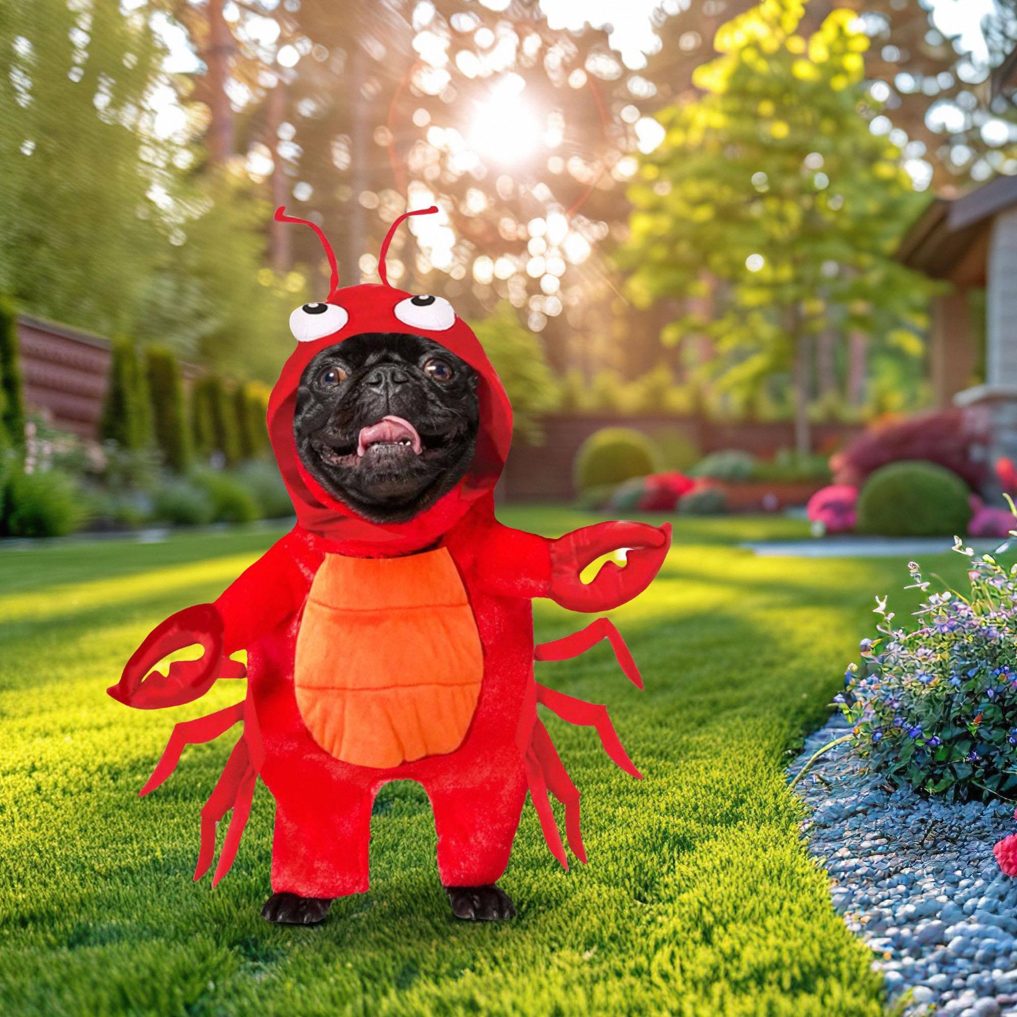 Alt View 1. Funworld - Lobster Pet Costume | Small - Red.
